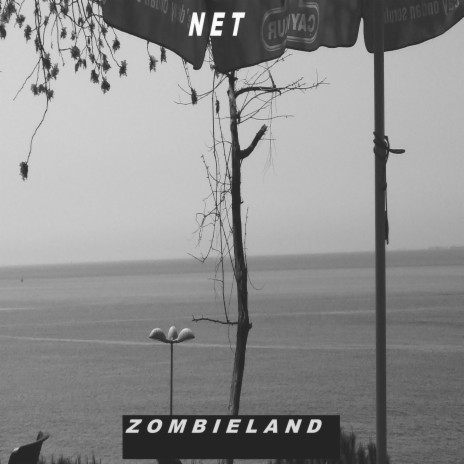 Zombieland Surfer | Boomplay Music