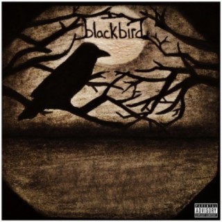 Blackbird