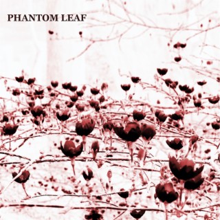 Phantom Leaf (ep II)