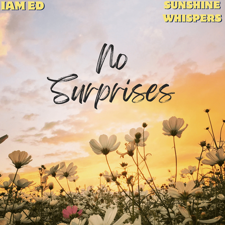 No Suprises ft. Sunshine Whispers | Boomplay Music