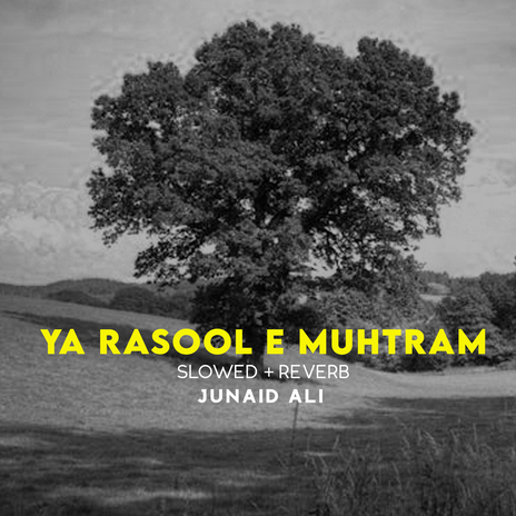 Ya Rasool e Muhtram Lofi | Boomplay Music