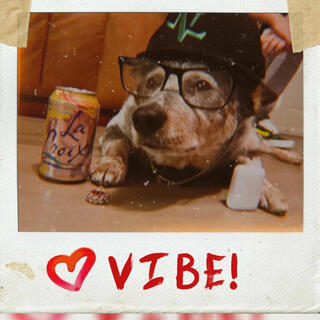 ViBE! (Solo Ver.)