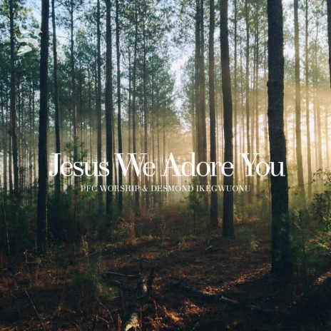 Jesus We Adore You (feat. Desmond Ikegwuonu & Jaime Arroyo) | Boomplay Music