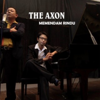 The Axon