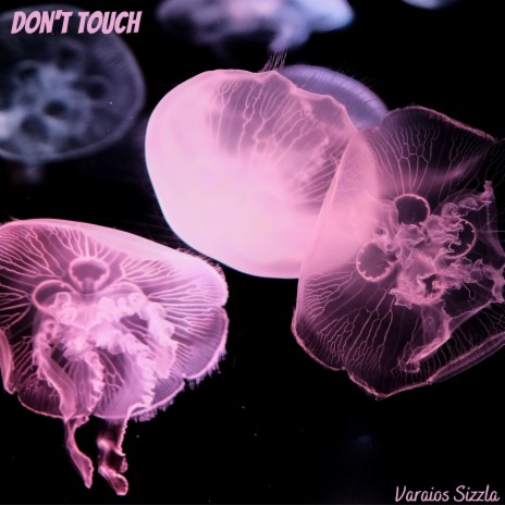 Don't Touch | Boomplay Music