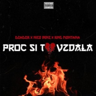 Proč si to vzdala (feat. Dzadzik & King Montana)