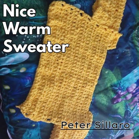 Nice Warm Sweater | Boomplay Music