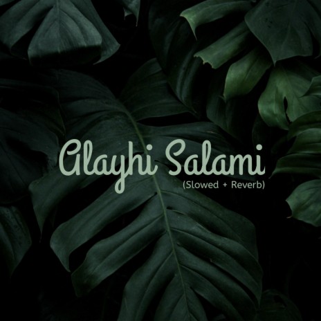 Alayhi Salami (Slowed + Reverb) | Boomplay Music