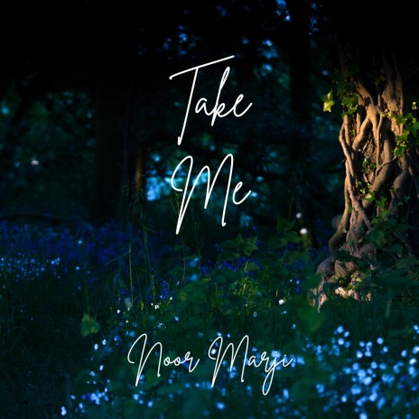 Take Me | Boomplay Music