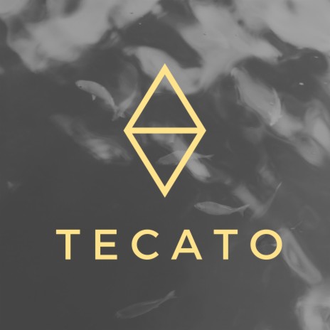 Tecato | Boomplay Music