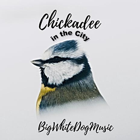 Chickadee in the City | Boomplay Music