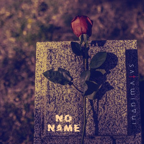 No Name | Boomplay Music