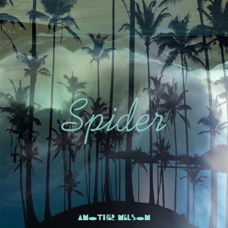 Spider | Boomplay Music