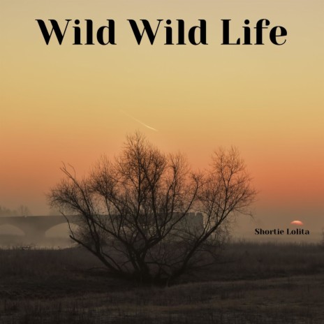 Wild Wild Life