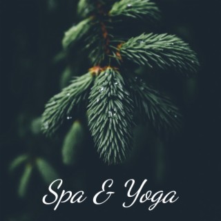 Relajación Yoga: albums, songs, playlists