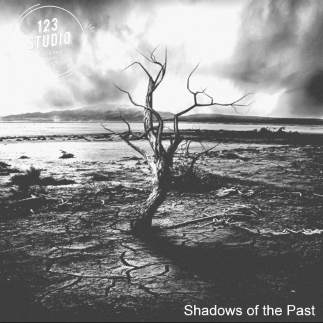 Shadows Of The Past | Boomplay Music