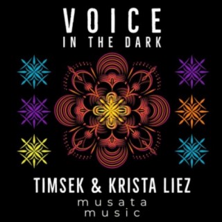 Voice In The Dark