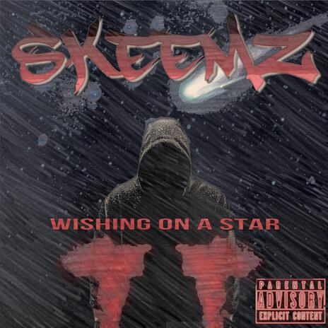 Wishing on a star radio (Radio Edit) | Boomplay Music