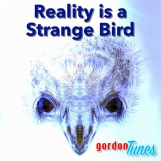 Reality Is A Strange Bird
