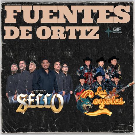 Fuentes de Ortiz ft. Los Coyotes | Boomplay Music