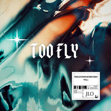 TOO FLY | Boomplay Music