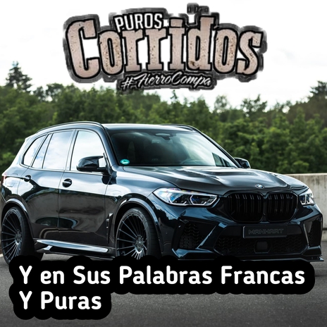 Y en sus palabras francas y puras | Boomplay Music