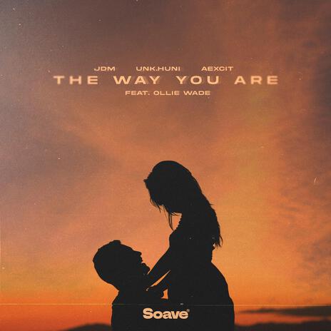 The Way You Are (feat. Ollie Wade) | Boomplay Music