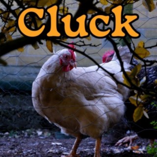 Cluck