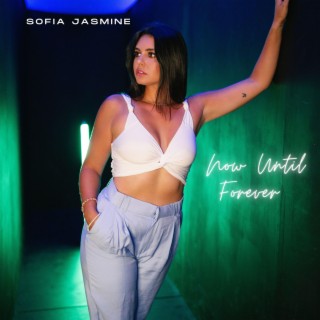 Now Until Forever lyrics | Boomplay Music
