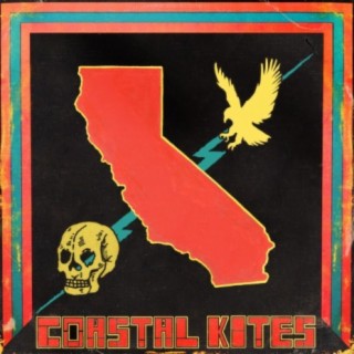 Coastal Kites