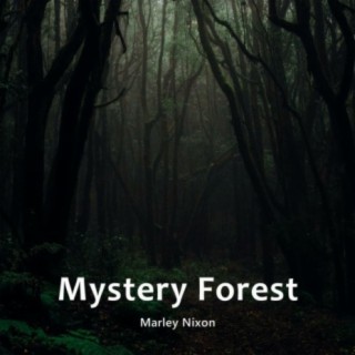 Mystery Forest