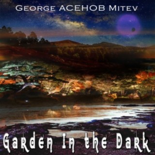 Garden in the Dark