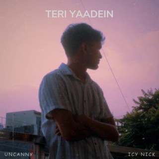 Teri Yaadein