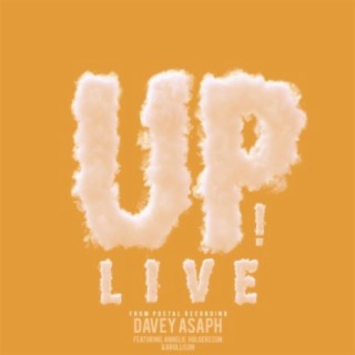 Up! (feat. Annelie Holgersson & Brollison)