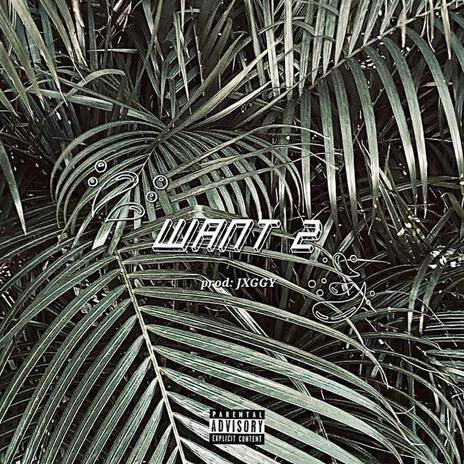 Want 2 | Boomplay Music