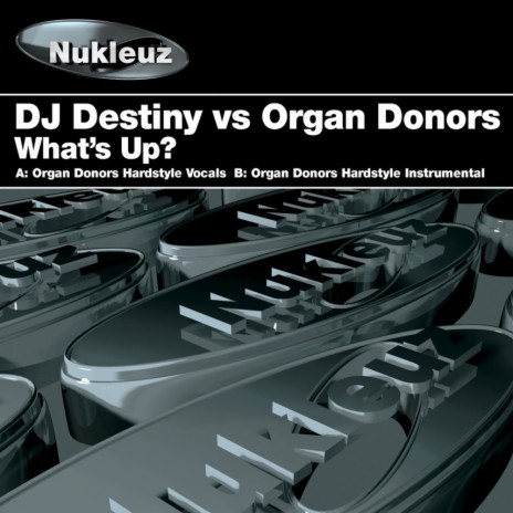 What's Up ft. Organ Donors | Boomplay Music