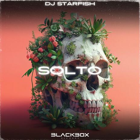 Solto ft. Blackbox Records | Boomplay Music