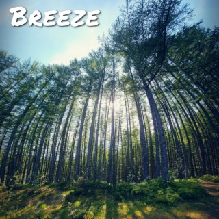 Breeze