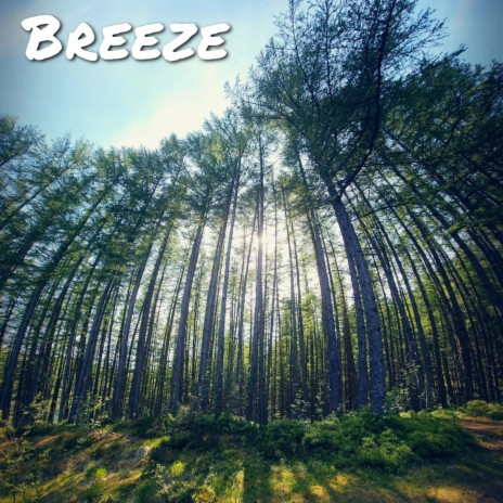 Breeze | Boomplay Music