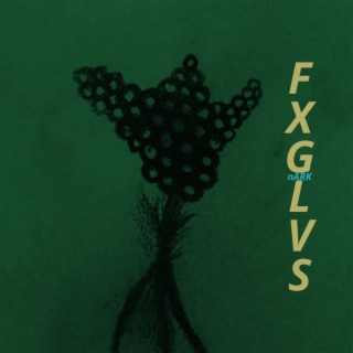 Foxgloves
