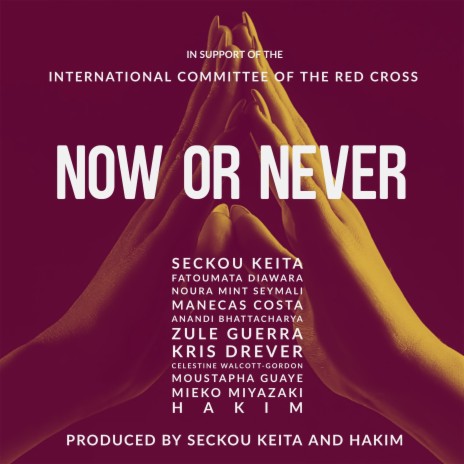 Now or Never ft. Fatoumata Diawara, Hakim, Mieko Miyazaki, Noura Mint Seymali & Manecas Costa | Boomplay Music