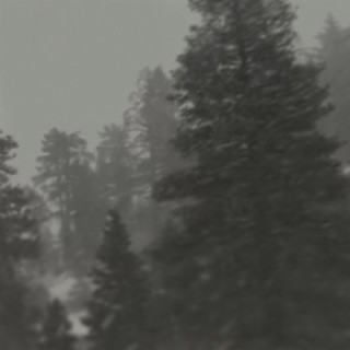 snowy pines (deluxe version)