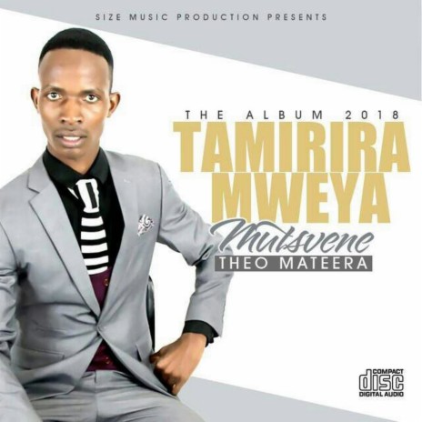 tamirira | Boomplay Music