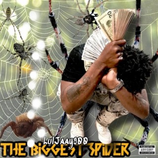 The Biggest Spider