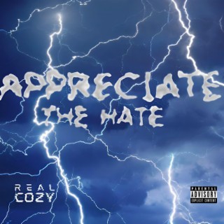 Appreciate the Hate lyrics | Boomplay Music
