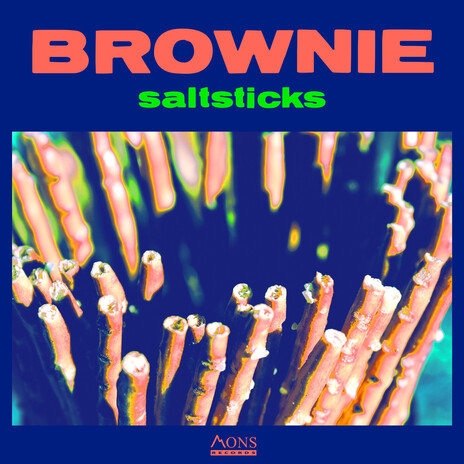 saltsticks | Boomplay Music