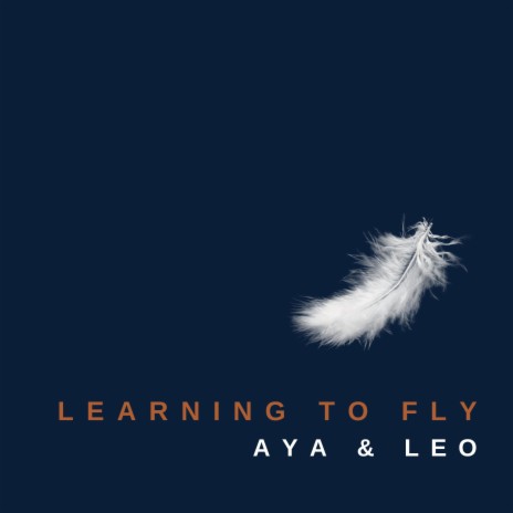 Learning To Fly | Boomplay Music