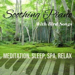Soothing Piano with Bird Songs Meditation, Sleep, Spa, Relax