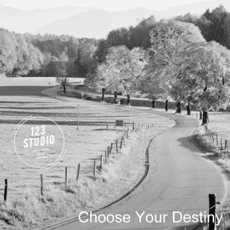 Choose Your Destiny | Boomplay Music