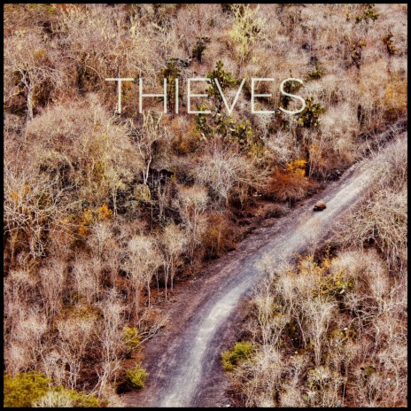 Thieves | Boomplay Music